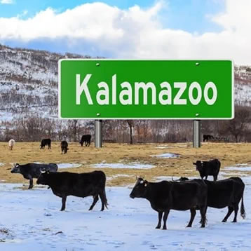 Kalamazoo — single artwork