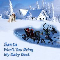 Santa Won't You Bring My Baby Back — single artwork